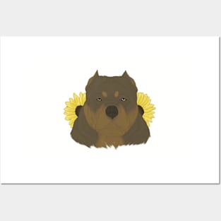 Chocolate Tan American Bully with Sunflowers Posters and Art